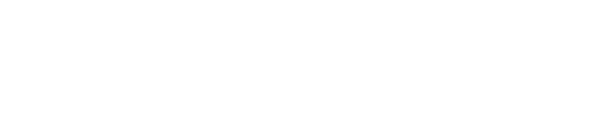 Holistic Insurance